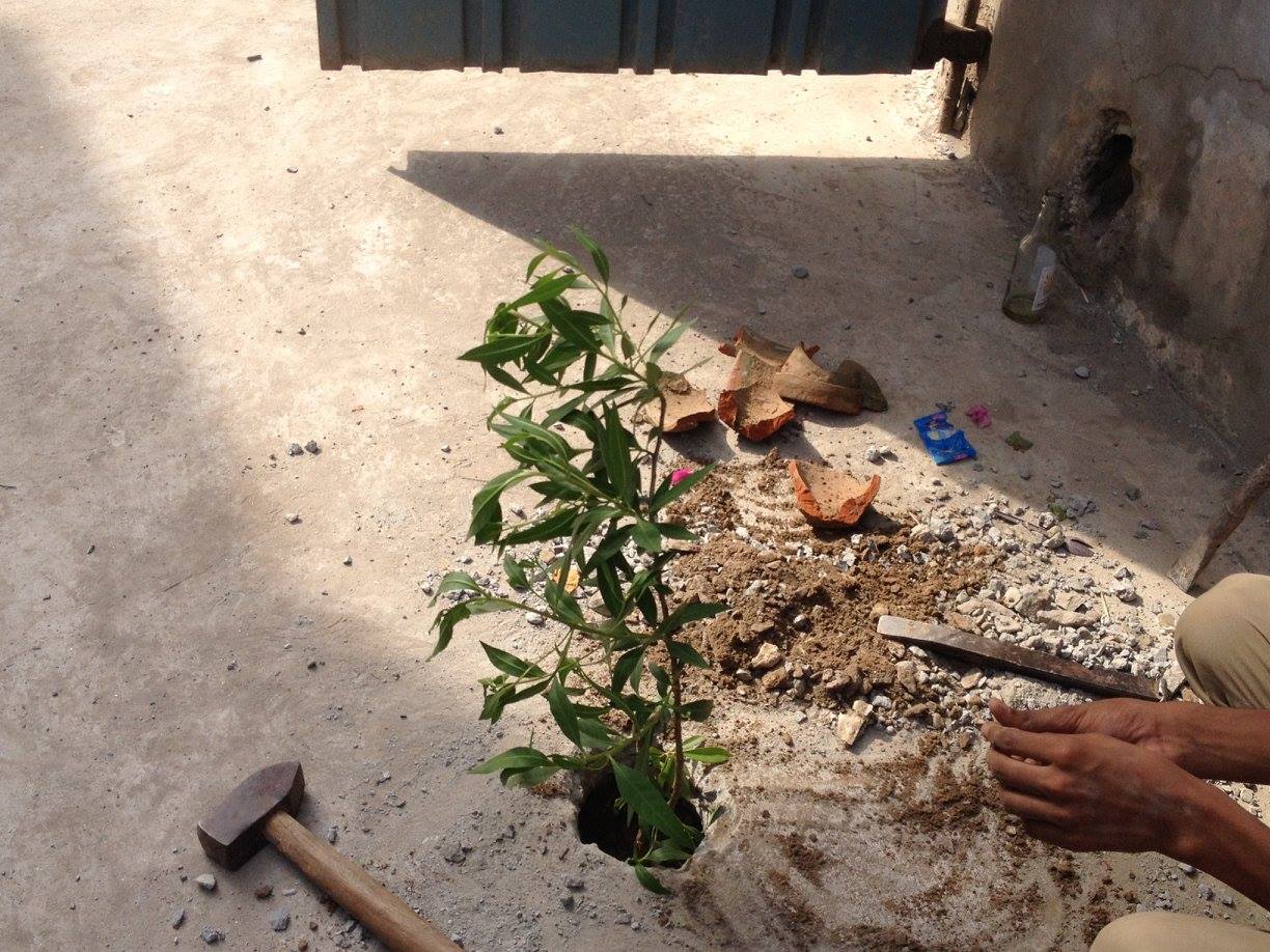 19243010_556508594473287_4014929740506325500_o