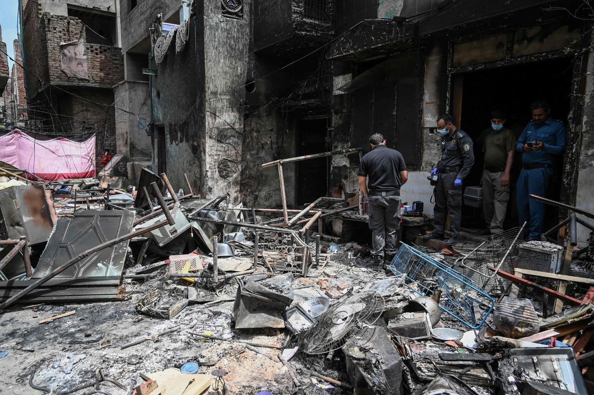 WhatsApp Image 2025-06-10 at 14.48.15